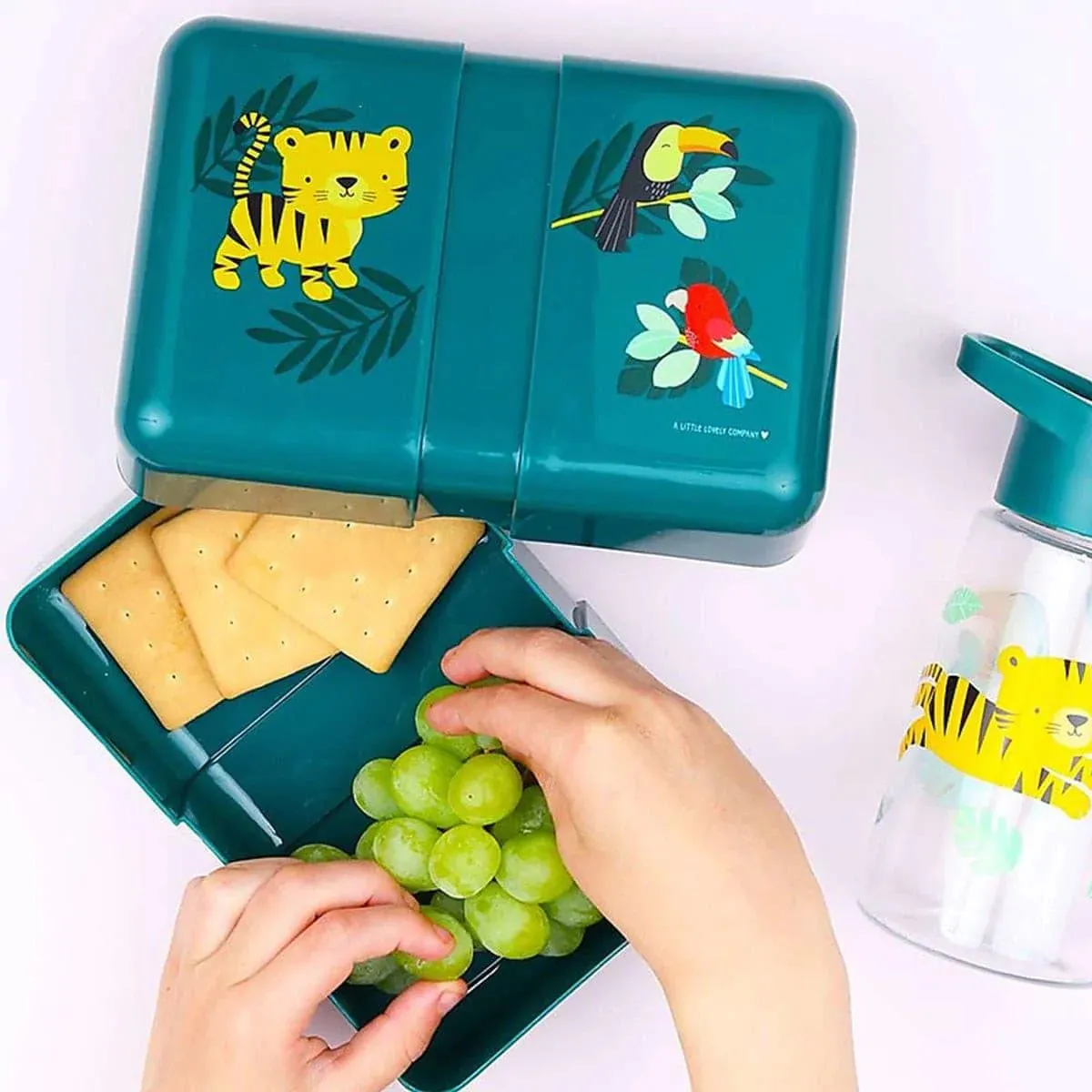 A Little Lovely Company Solid Lunch Box