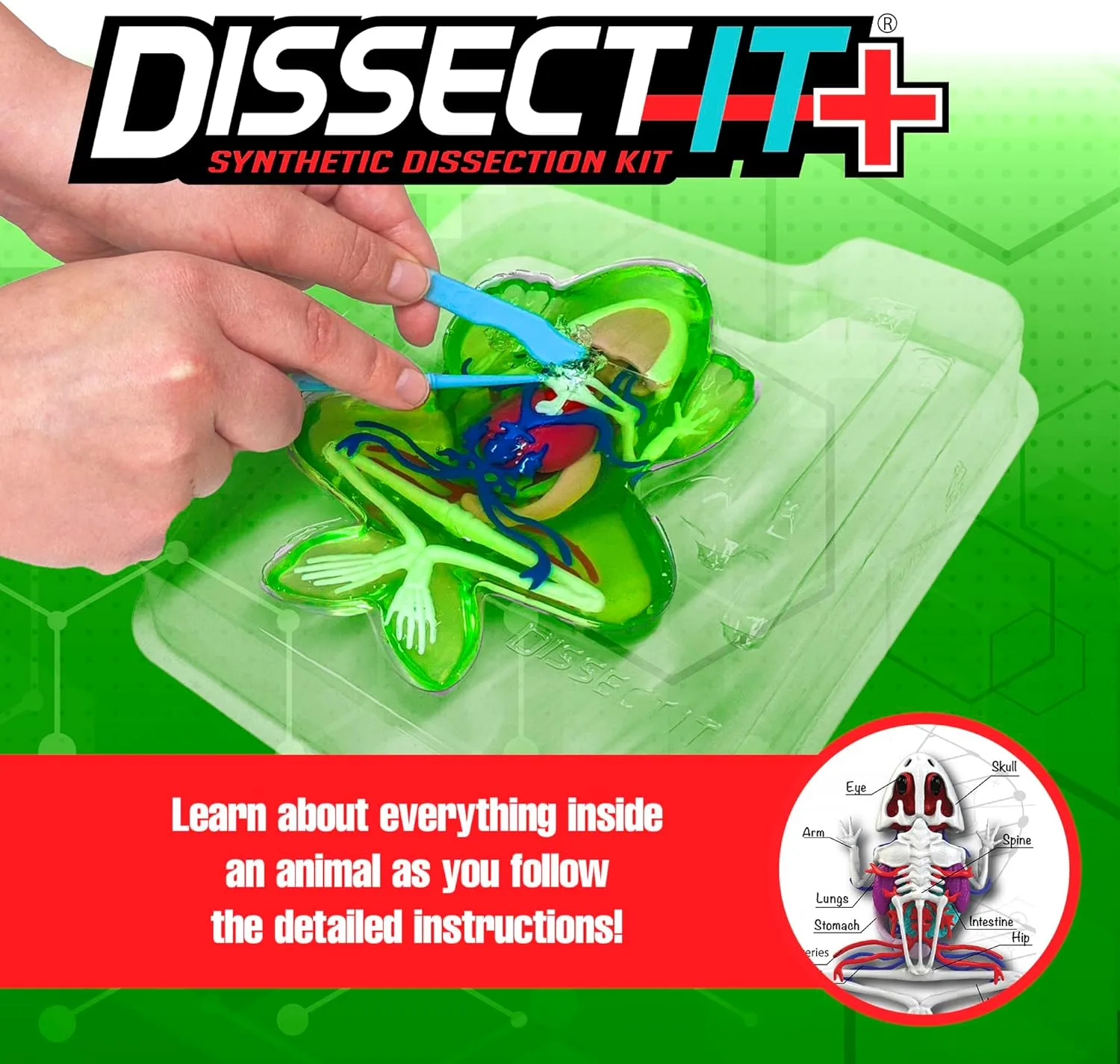 Dissect-It Frog Lab Plus